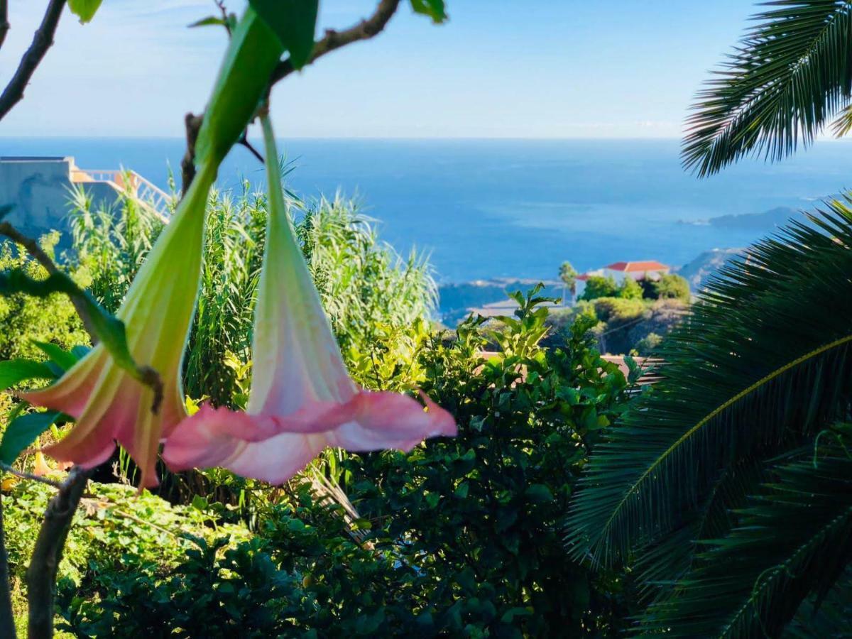 Casa Ida Guest House Garachico  Exterior photo